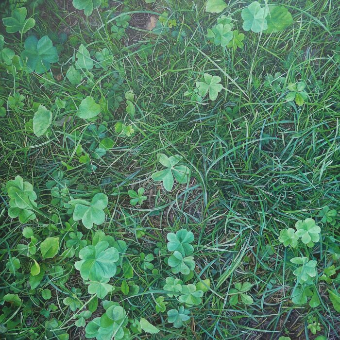 Pinturas / Margolanak / Paintings