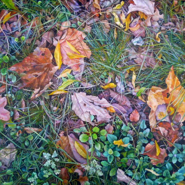 Huellas De Otoño