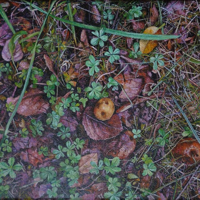 Natura II
