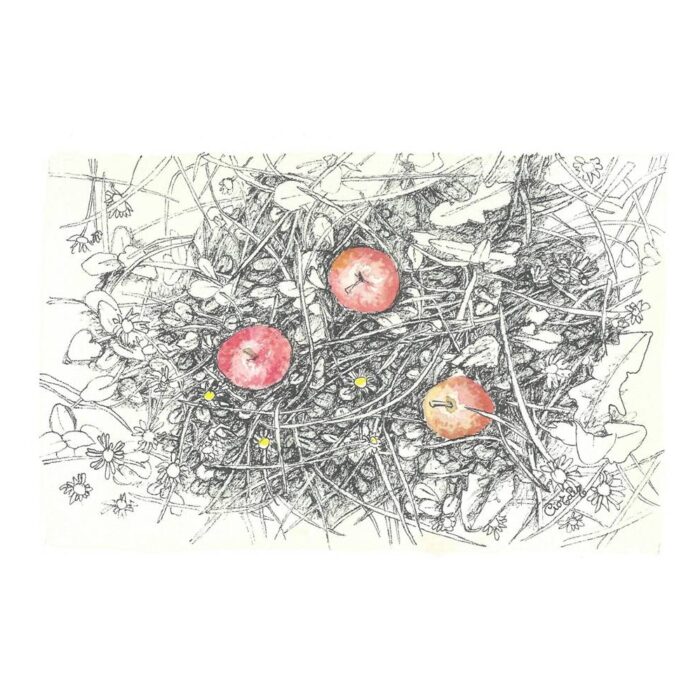 Manzanas rojas. Sagar gorriak. Red apples