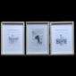 Colección tres láminas de Donostia enmarcadas